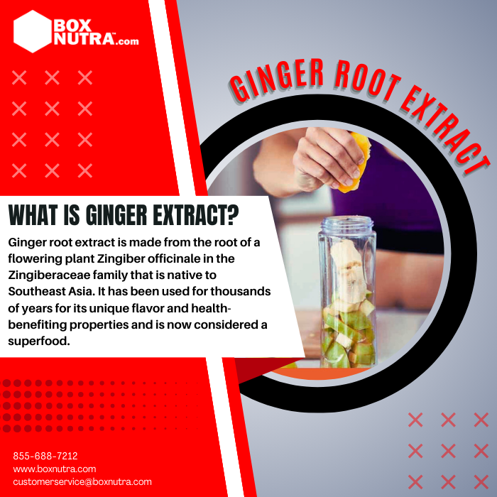 Ginger Extract 10:1 (Root)