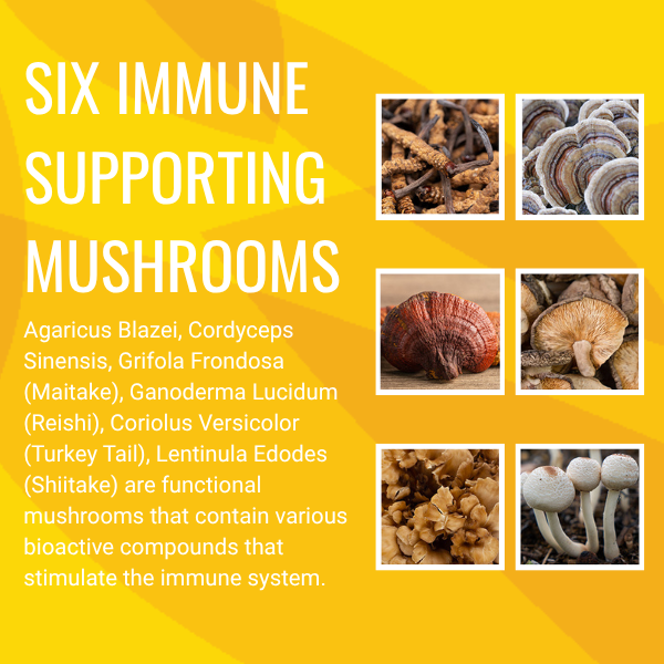 Cocoa Mojo - Functional Mushroom Cocoa Blend - 6 image