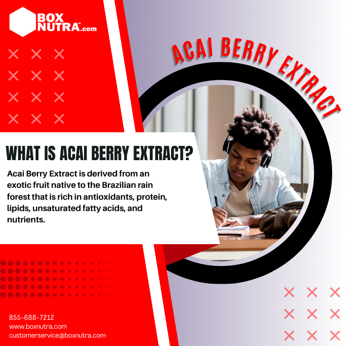 Acai Berry Extract 4:1 (Fruit)