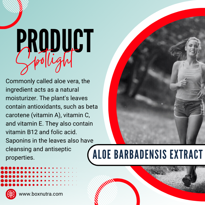 Aloe Barbadensis Extract 5:1 (Leaf)