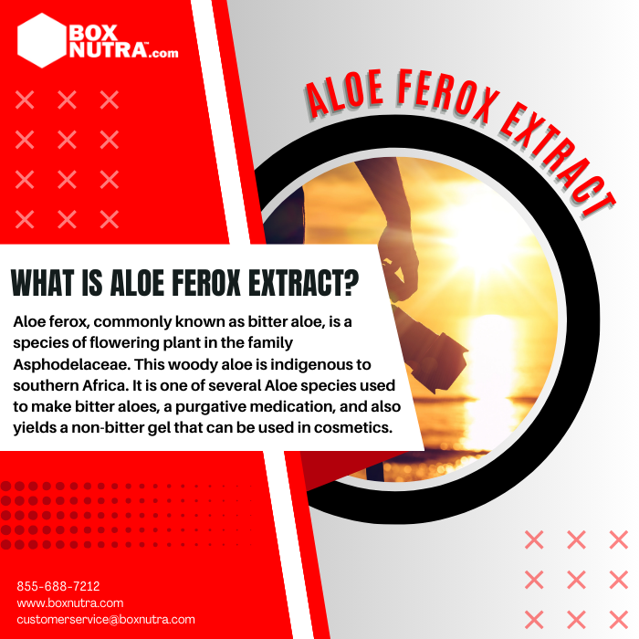 Aloe Ferox Extract (Std. 6% Aloin)