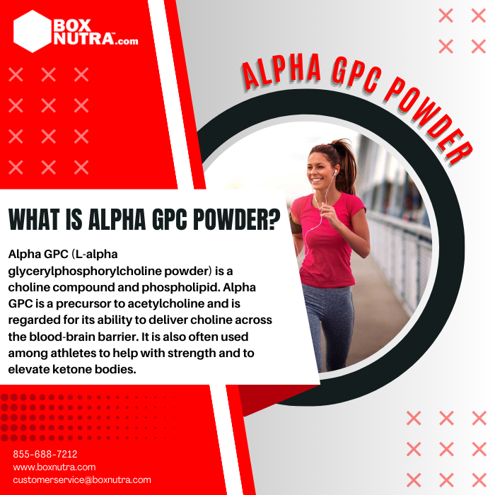 Alpha GPC (Alpha Glycerylphosphorylcholine) Powder