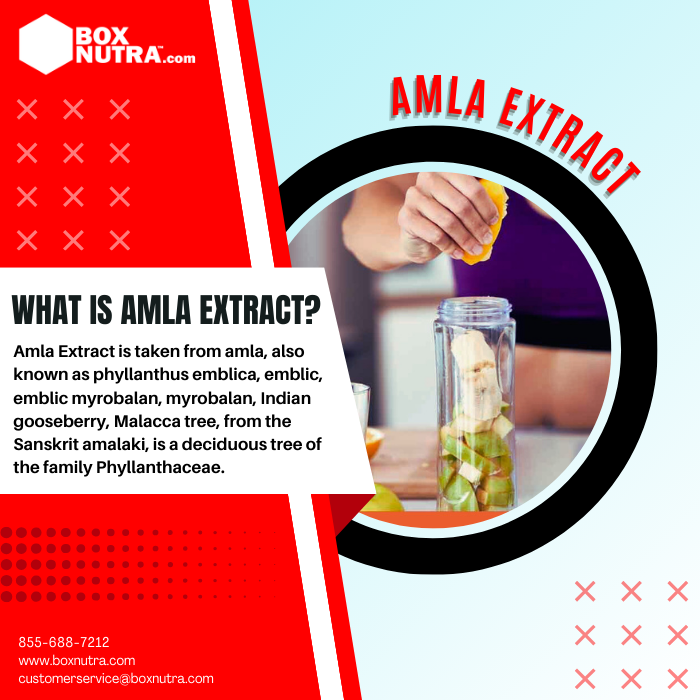 Amla Extract (Emblica Officinalis)(Fruit)(STD. To 40% Tannins)