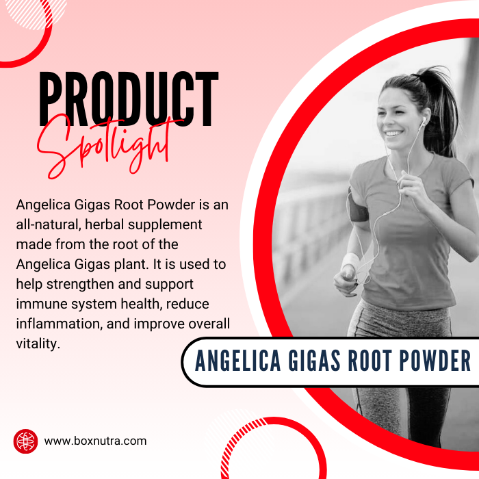 Angelica Gigas Root Powder