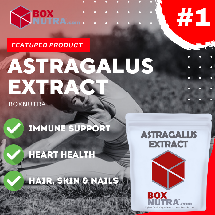 Astragalus Extract 10:1 (Root)