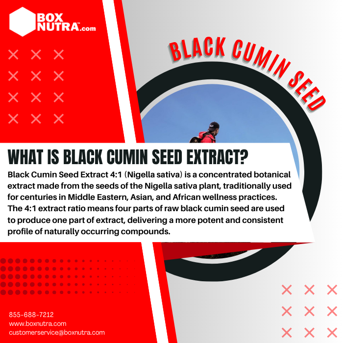 Black Cumin Seed Extract 4:1 (Nigella Sativa)