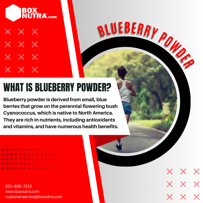 Blueberry Powder (Fruit)