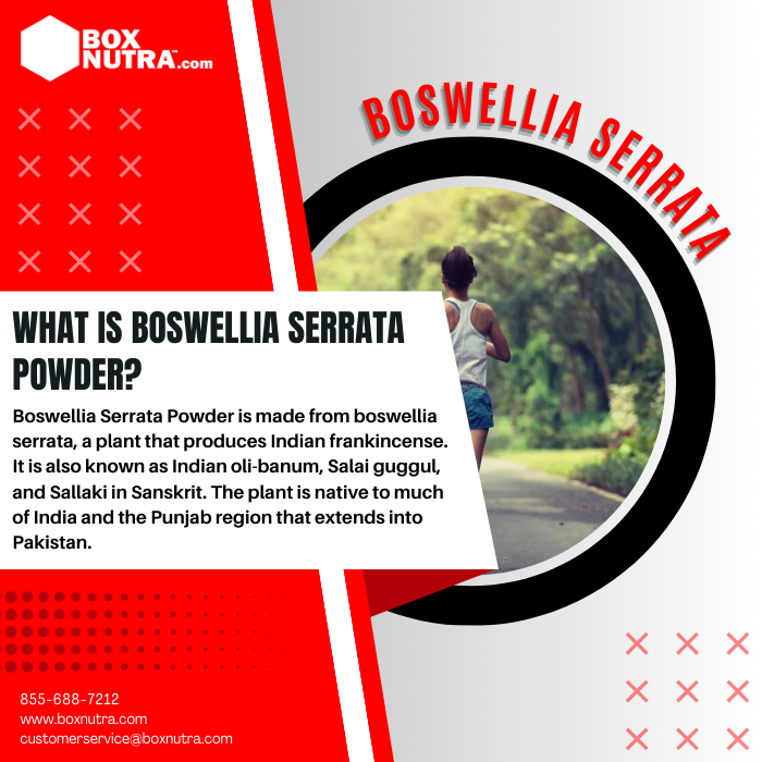 Boswellia Serrata Powder (Resin)