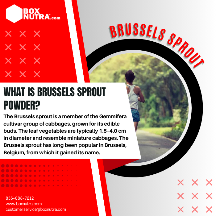 Brussels Sprout Powder