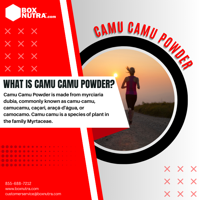 Camu Camu Powder (Myrciaria Dubia)(Whole Camu Camu)