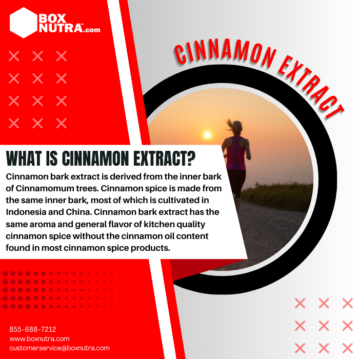 Cinnamon Extract 10:1 (Cinnamomum Cassia)(Bark)