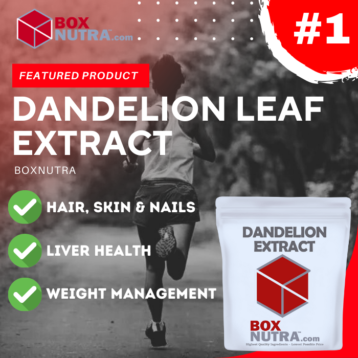 Dandelion Leaf Extract 4:1