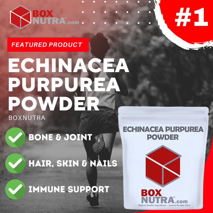 Echinacea Purpurea Powder (Leaf, Stem, Flower)