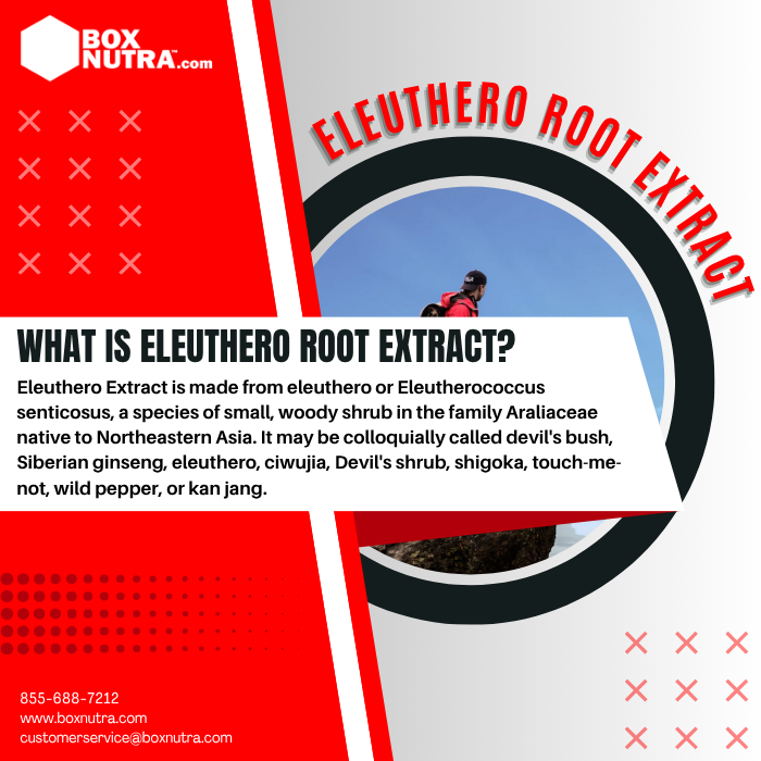 Eleuthero Root Extract 10:1