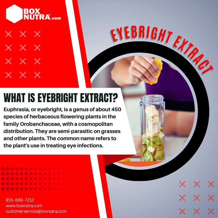 Eyebright Extract 10:1 (Whole Herb)