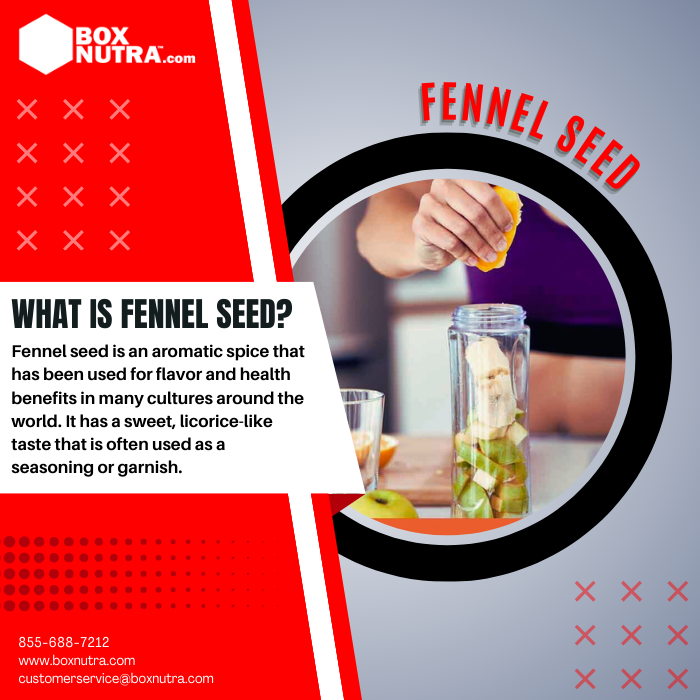 Fennel Seed 10:1