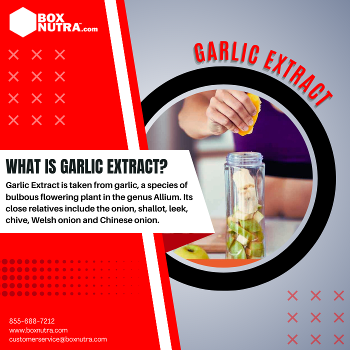 Garlic Extract (Bulb)(Standardized To 1% Allicin)