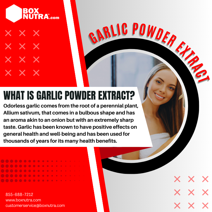 Ordorless Garlic Powder Extract 100:1 TLC