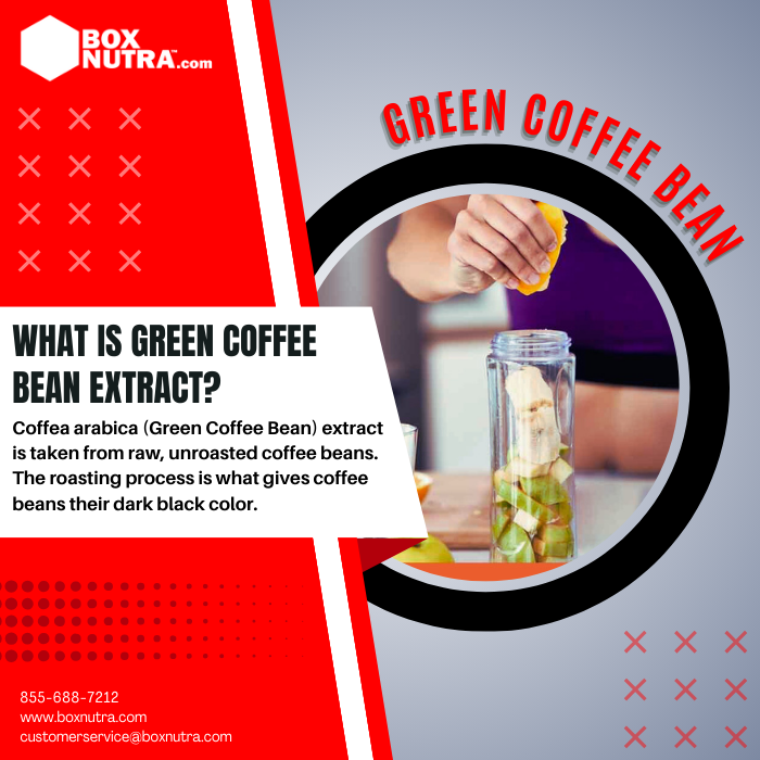 Green Coffee Bean Extract 4:1 (Coffea Arabica)(Seed)
