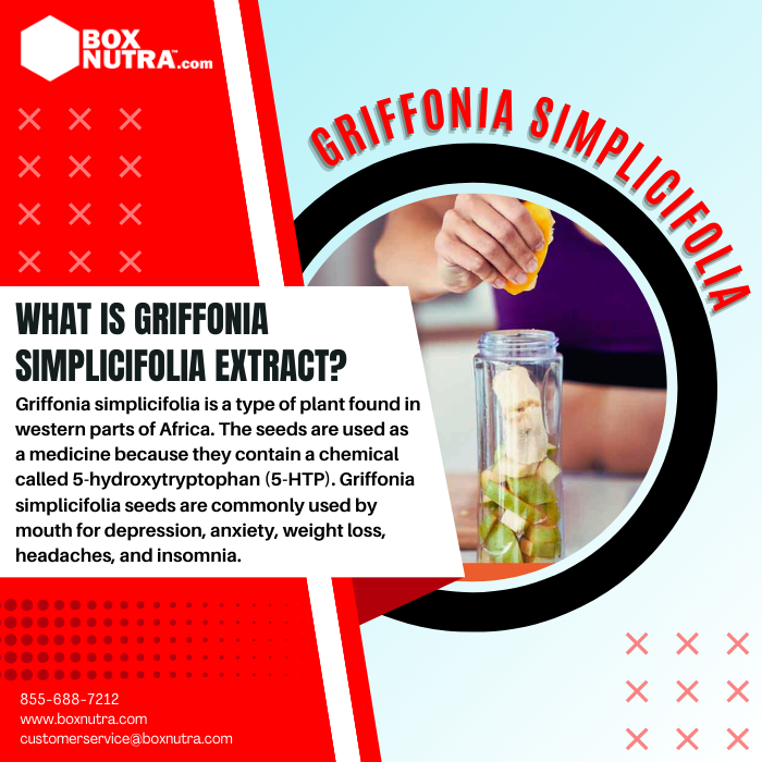 Griffonia Simplicifolia Extract (Seed)(STD. To 99% 5 HTP)