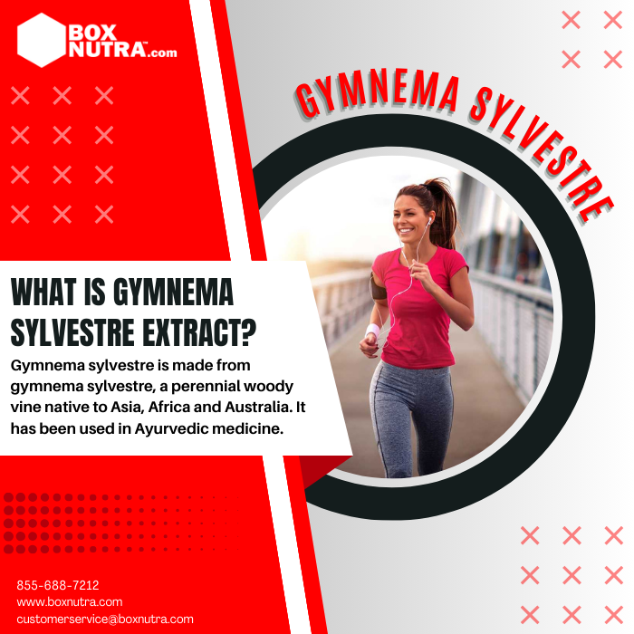 Gymnema Sylvestre Extract (Leaf)