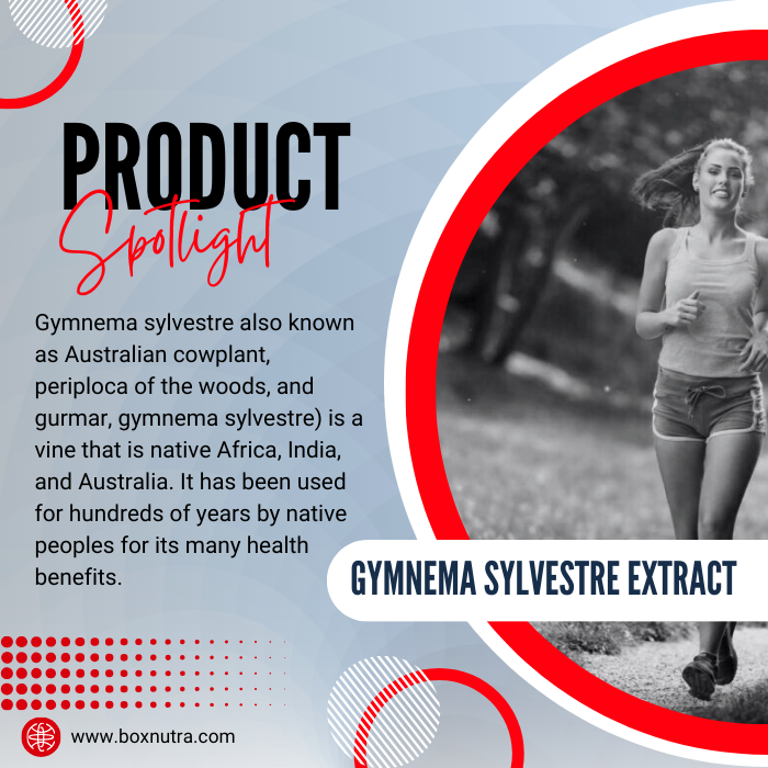 Gymnema Sylvestre Extract (Leaf)