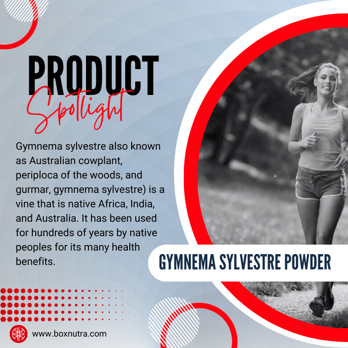 Gymnema Sylvestre Powder (Leaf)