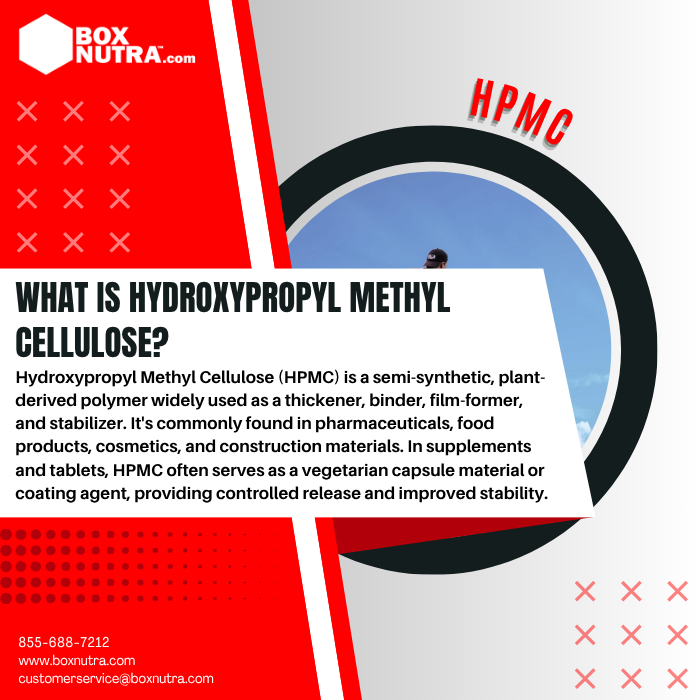 Hydroxypropyl Methyl Cellulose (HPMC)