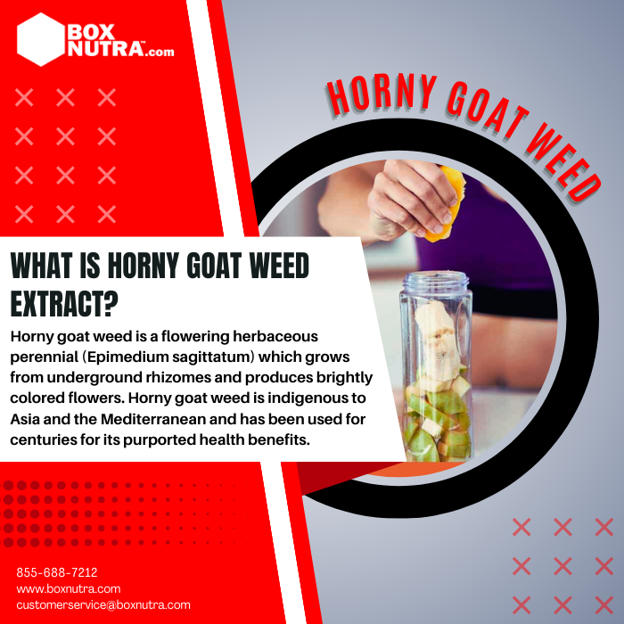 Horny Goat Weed Extract 10:1 (Epimedium Sagittatum)(Leaf And Stem)