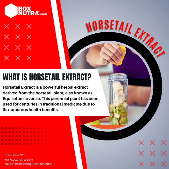 Horsetail Extract 7% Silica