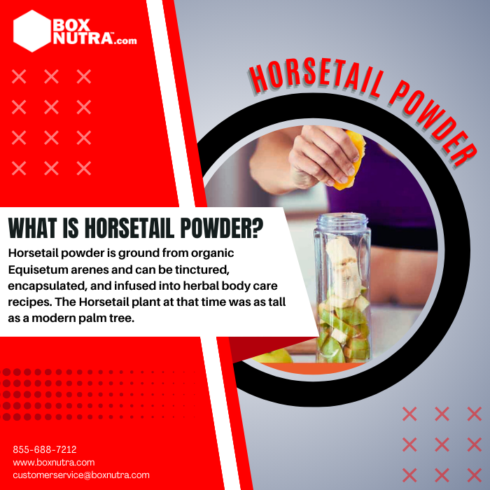 Horsetail Powder (Leaf And Stem)