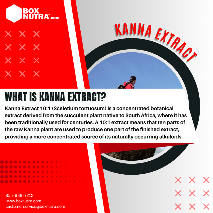 Kanna Extract 10:1