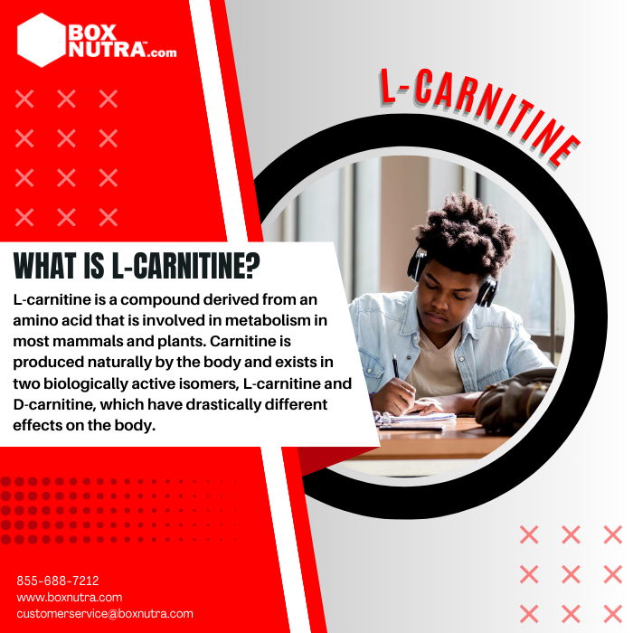 L-Carnitine BoxNutra L-Carnitine BoxNutra