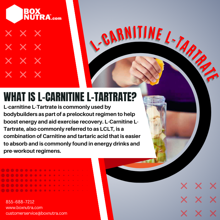 l carnitine gnc price GNC L-CARNITINE 500 MG – Vitamins House l carnitine gnc price GNC L-CARNITINE 500 MG – Vitamins House