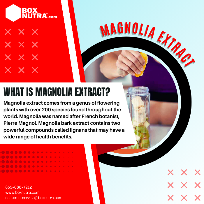 Magnolia Extract (Bark)(STD. To 2% Honokiol)