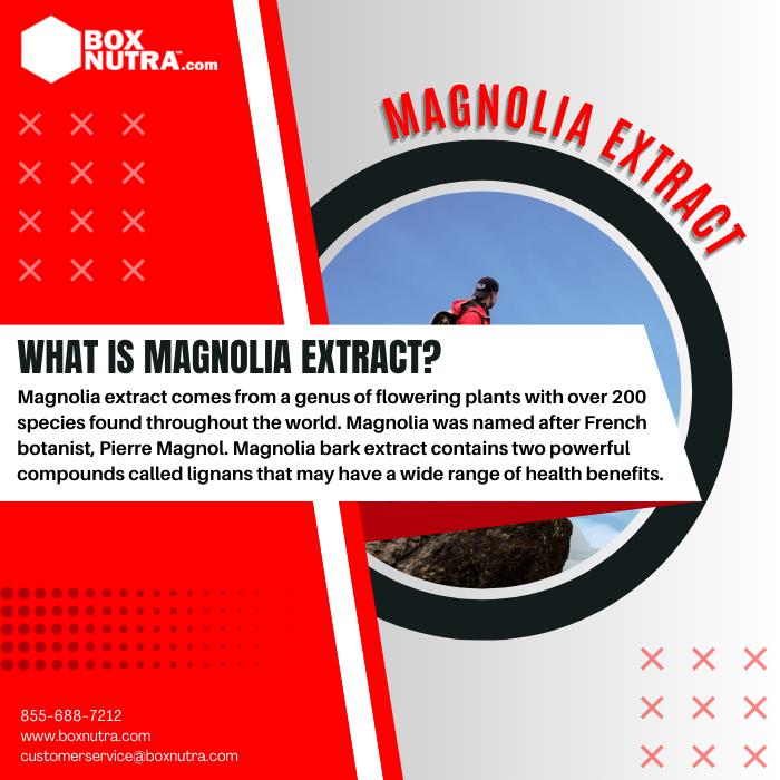Magnolia Extract (Bark)(STD. To 2% Honokiol)
