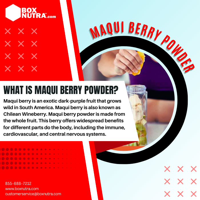 Maqui Berry Powder (Aristotelia Chilensis)(Whole Berry)