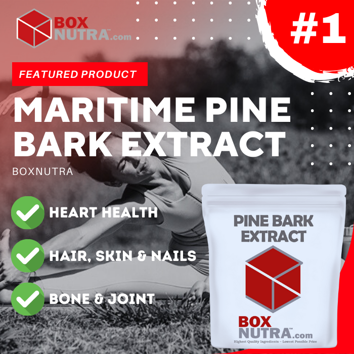 Maritime Pine Bark Extract (Pinus Pinaster)