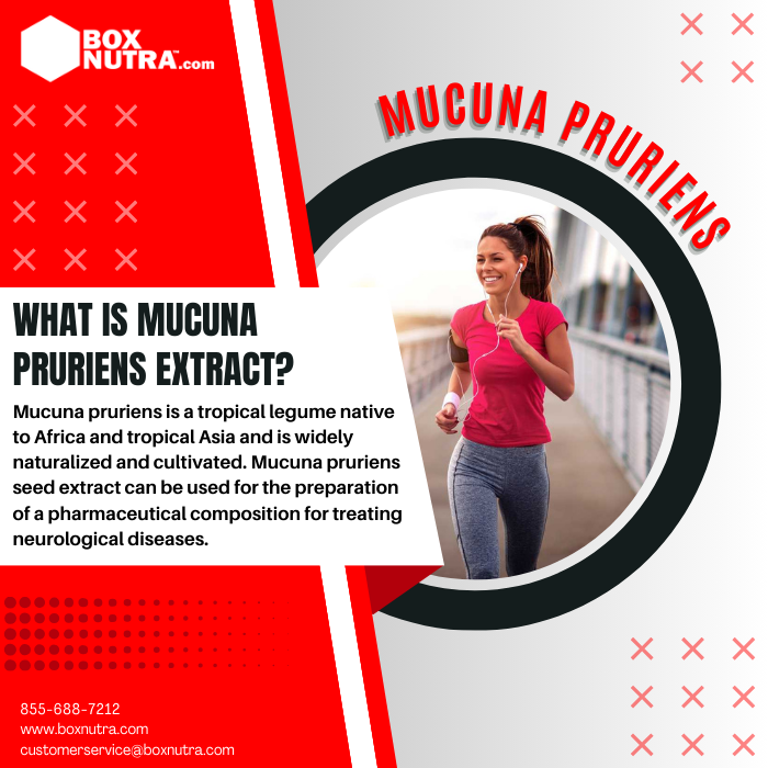 Mucuna Pruriens Extract (Seed)(STD. To 15% L-Dopa)