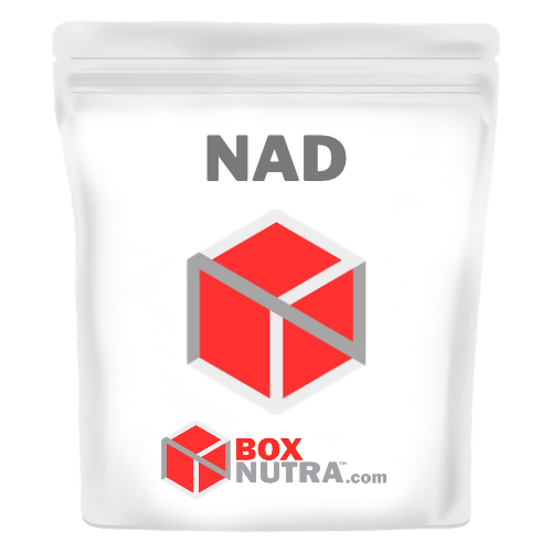 Nicotinamide Adenine Dinucleotide (NAD)