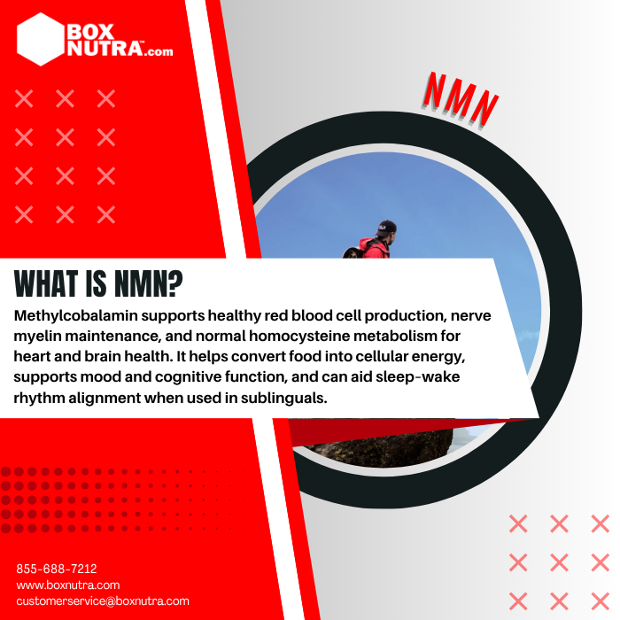 NMN (Nicotinamide Mononucleotide) Powder