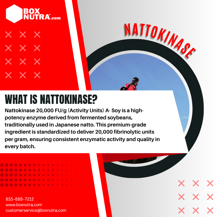 Nattokinase 20,000 FU/G A- Soy