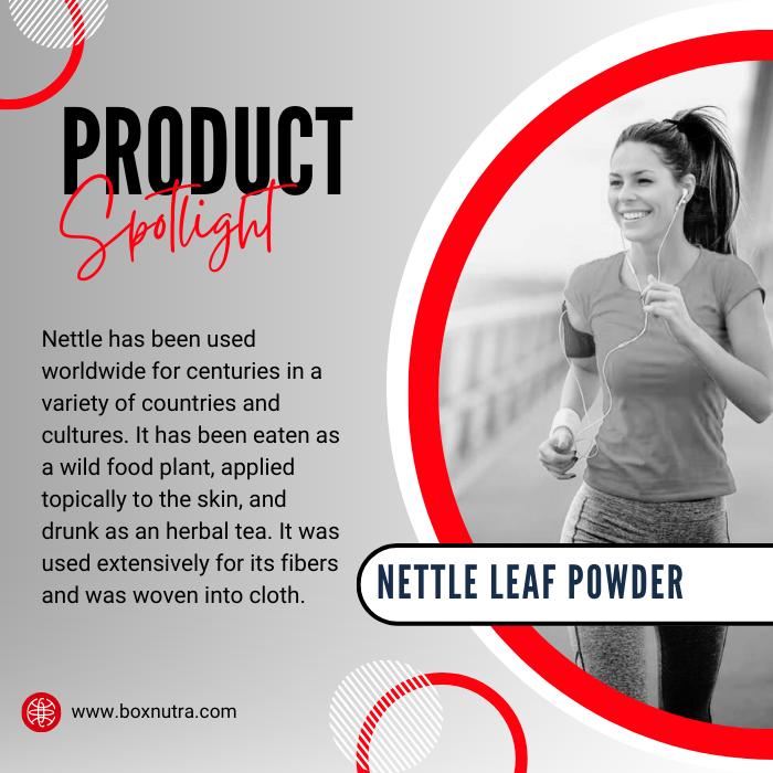 Nettle Leaf Powder