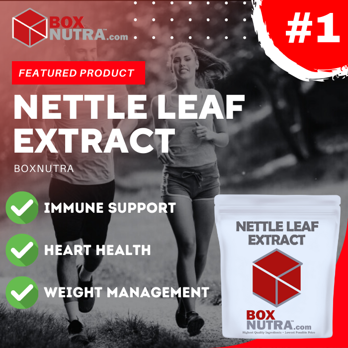 Nettle Extract 4:1 (Leaf)