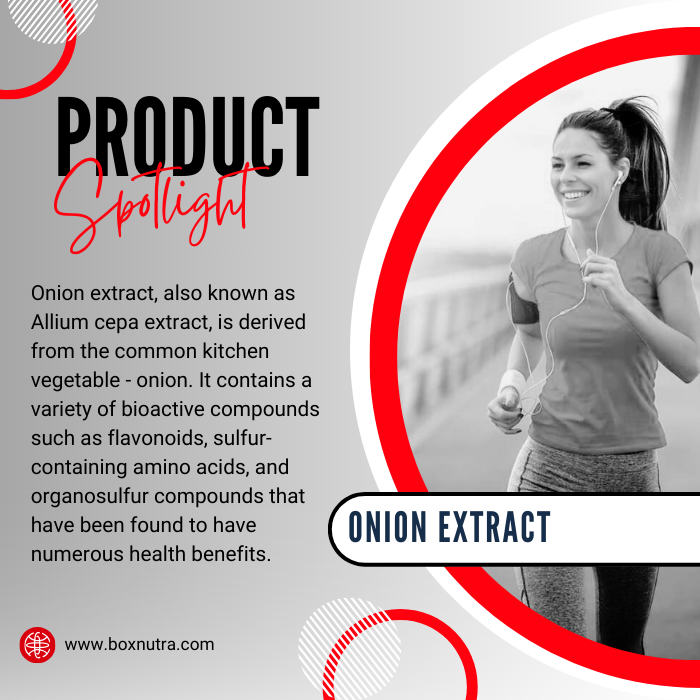 Onion Extract 4:1