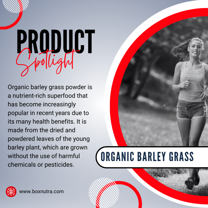 Organic Barley Grass Powder (Leaf)