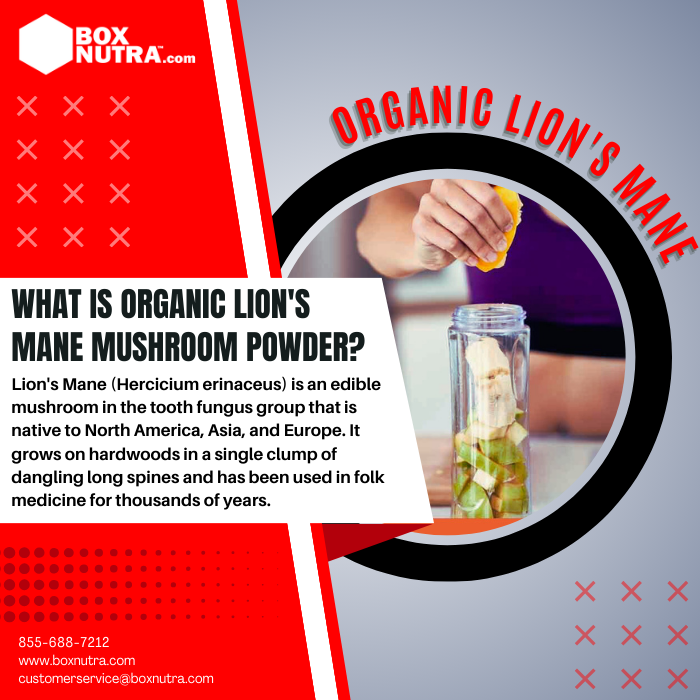 Organic Lion's Mane Mushroom Powder