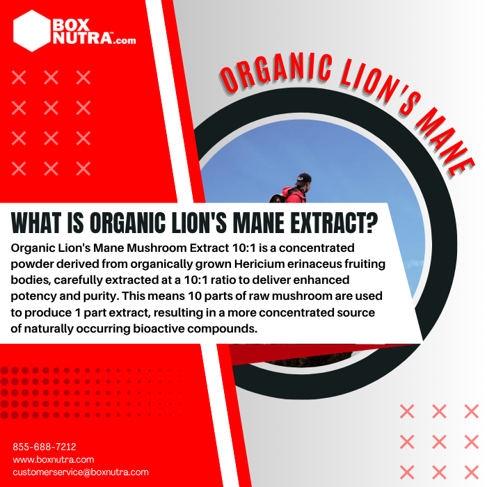 Organic Lion's Mane Mushroom Extract 10:1