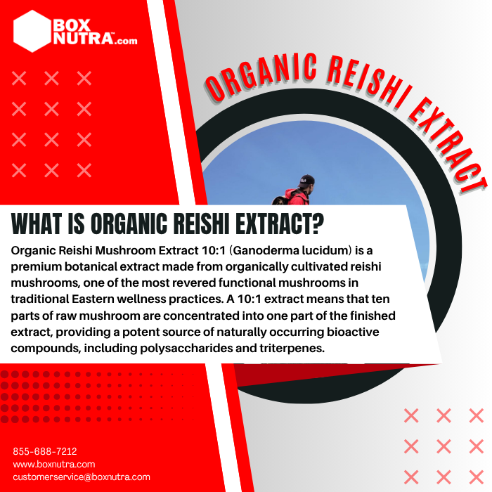 Organic Reishi Mushroom Extract 10:1