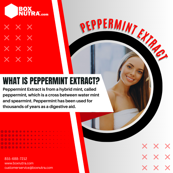 Peppermint Extract 4:1 (Leaf)